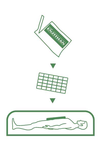 esquema funcionamiento enzithan